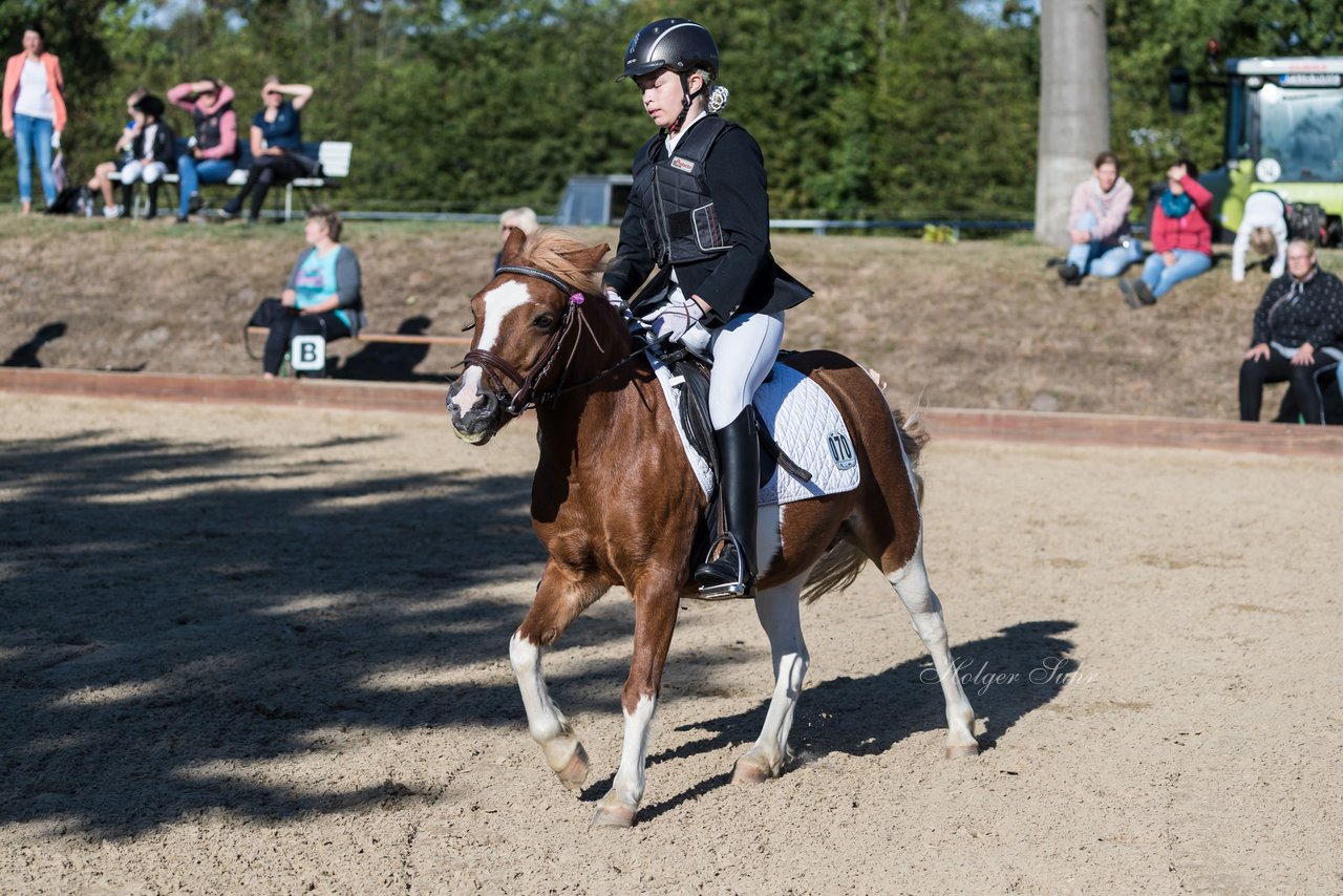 Bild 103 - Pony Akademie Turnier